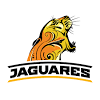 Lions vs Jaguares