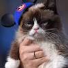 Grumpy Cat