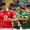 South Africa vs Wales