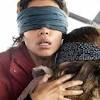 Bird Box Barcelona